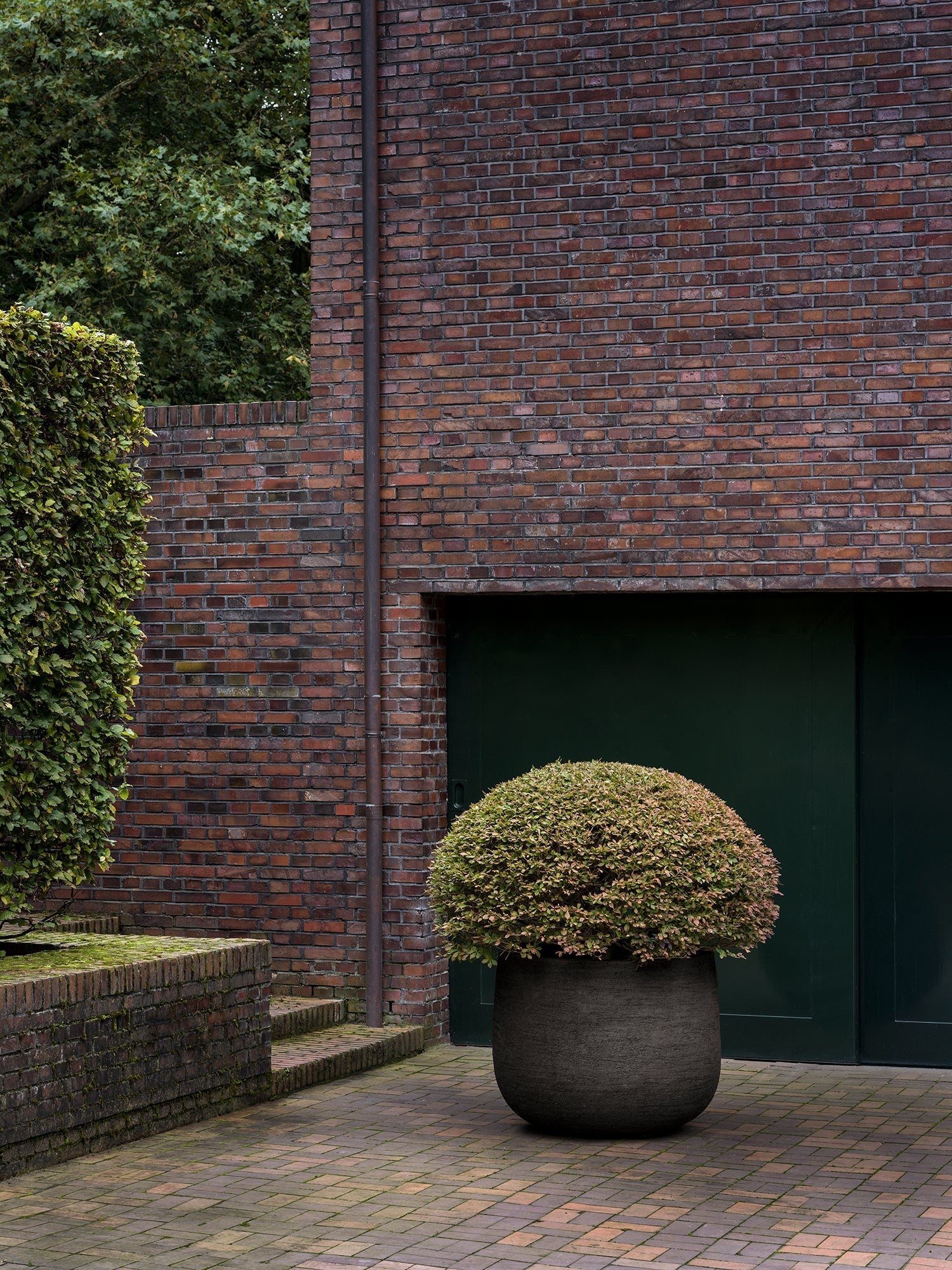 Handcrafted, sculptural planters from Domani