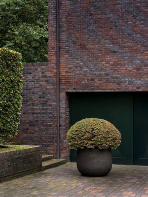 Handcrafted, sculptural planters from Domani