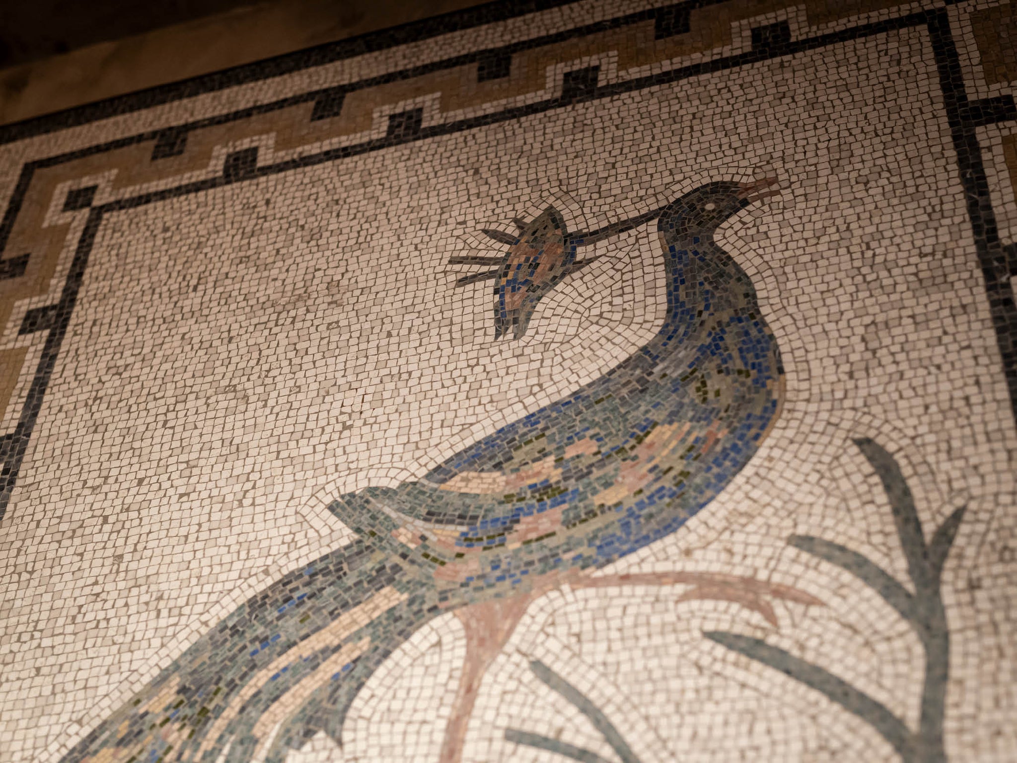 Mosaic Artwork - Peacock