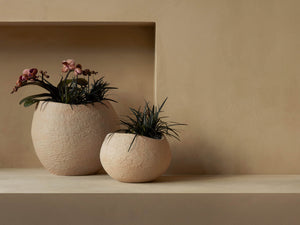 Plantas planter